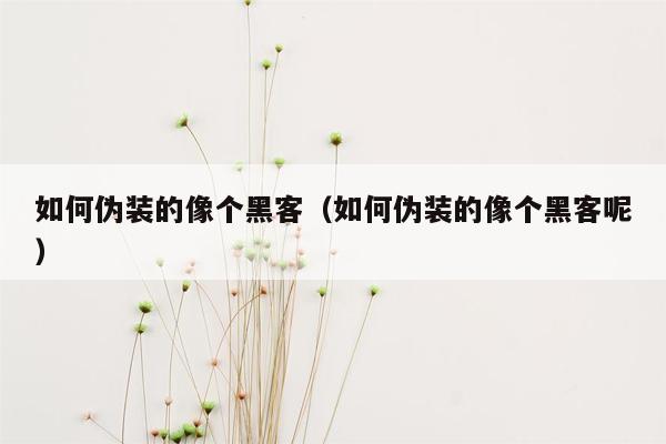 如何伪装的像个黑客（如何伪装的像个黑客呢）