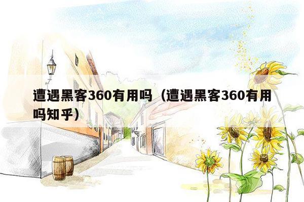 遭遇黑客360有用吗（遭遇黑客360有用吗知乎）