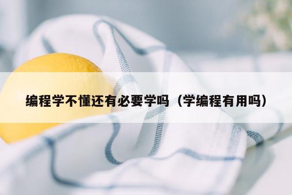 编程学不懂还有必要学吗（学编程有用吗）