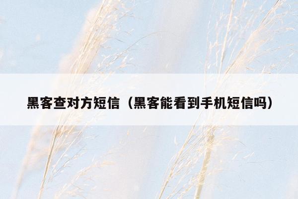 黑客查对方短信（黑客能看到手机短信吗）