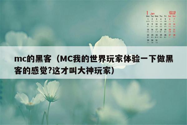 mc的黑客（MC我的世界玩家体验一下做黑客的感觉?这才叫大神玩家）