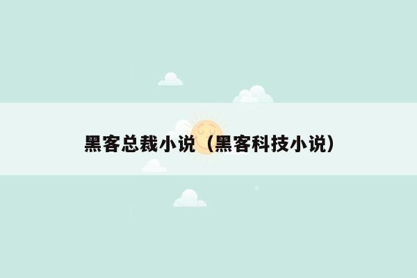 黑客总裁小说（黑客科技小说）