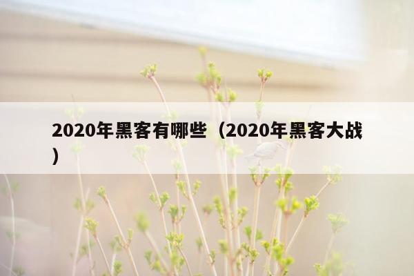 2020年黑客有哪些（2020年黑客大战）