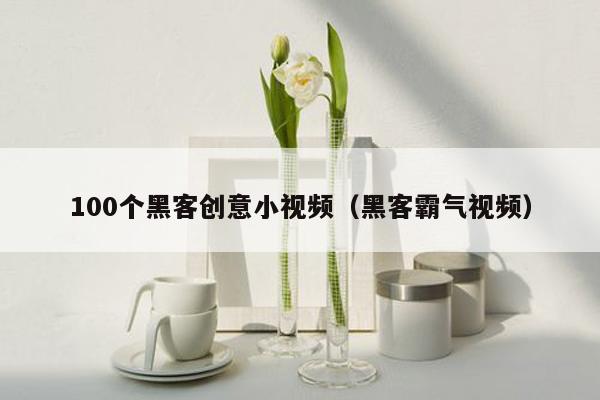 100个黑客创意小视频（黑客霸气视频）