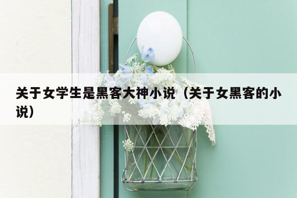 关于女学生是黑客大神小说（关于女黑客的小说）