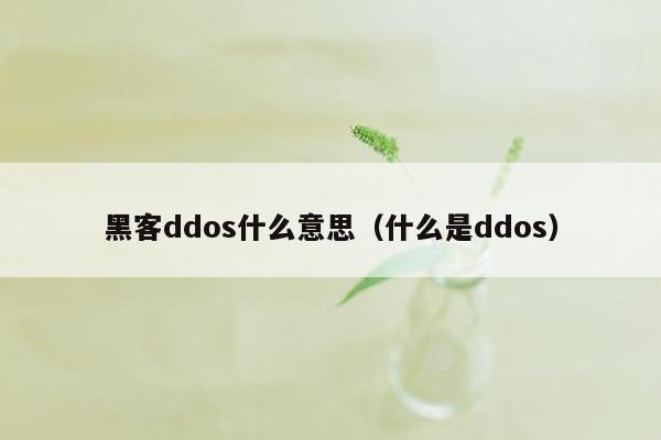 黑客ddos什么意思（什么是ddos）