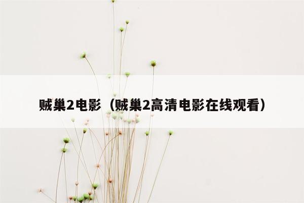 贼巢2电影（贼巢2高清电影在线观看）