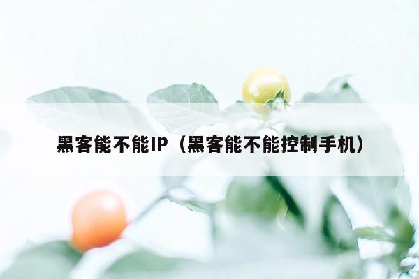 黑客能不能IP（黑客能不能控制手机）