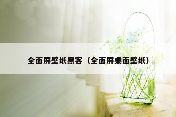 全面屏壁纸黑客（全面屏桌面壁纸）