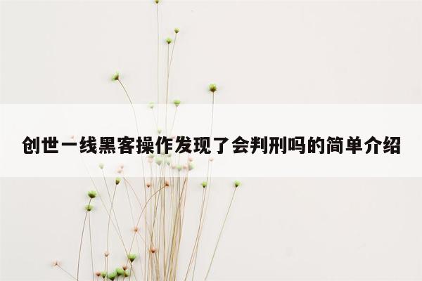 创世一线黑客操作发现了会判刑吗的简单介绍