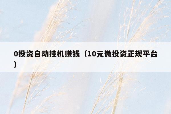 0投资自动挂机赚钱（10元微投资正规平台）
