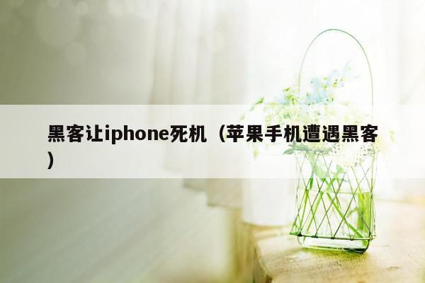 黑客让iphone死机（苹果手机遭遇黑客）