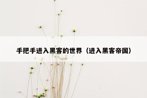 手把手进入黑客的世界（进入黑客帝国）