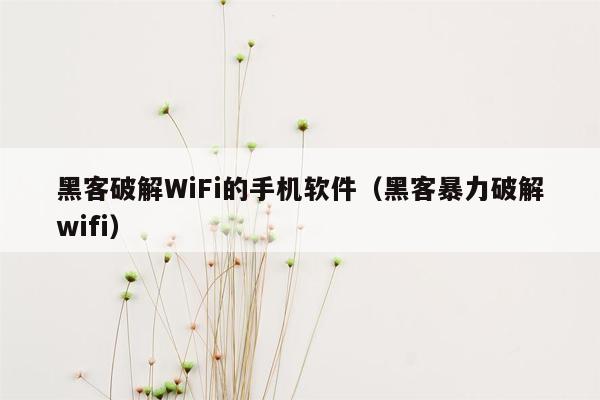 黑客破解WiFi的手机软件（黑客暴力破解wifi）