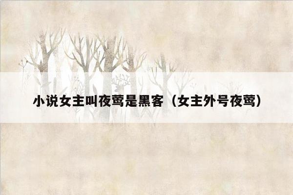 小说女主叫夜莺是黑客（女主外号夜莺）
