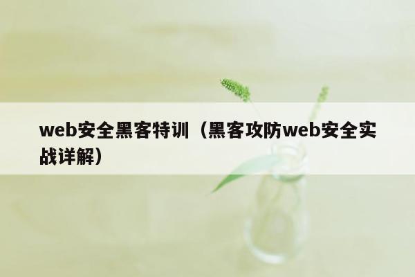 web安全黑客特训（黑客攻防web安全实战详解）