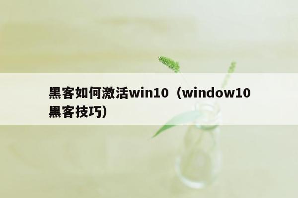 黑客如何激活win10（window10黑客技巧）