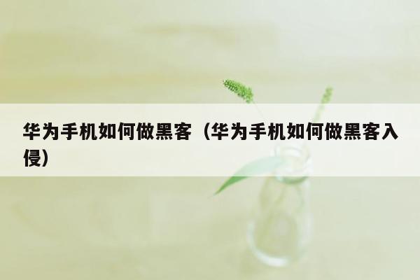 华为手机如何做黑客（华为手机如何做黑客入侵）