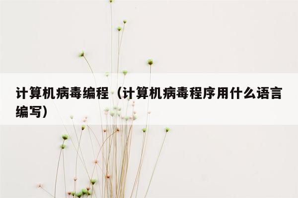 计算机病毒编程（计算机病毒程序用什么语言编写）