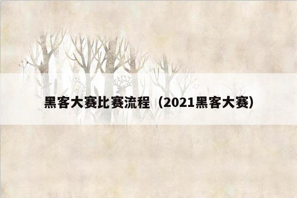 黑客大赛比赛流程（2021黑客大赛）