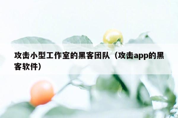 攻击小型工作室的黑客团队（攻击app的黑客软件）