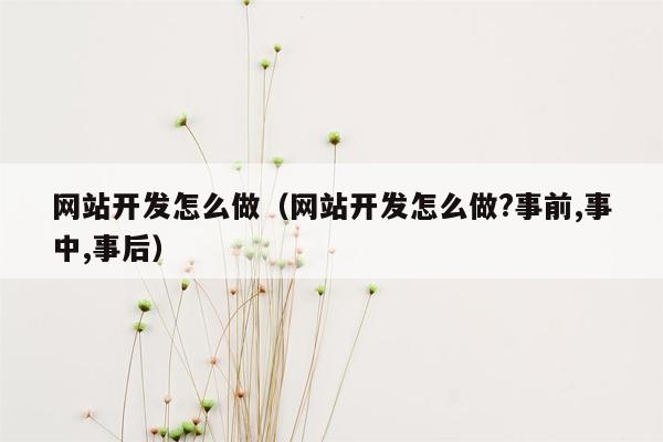 网站开发怎么做（网站开发怎么做?事前,事中,事后）