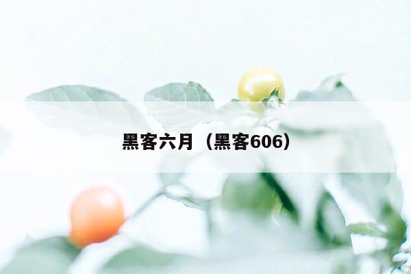 黑客六月（黑客606）