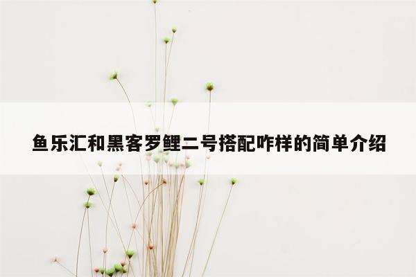 鱼乐汇和黑客罗鲤二号搭配咋样的简单介绍