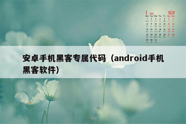 安卓手机黑客专属代码（android手机黑客软件）