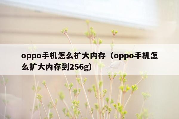 oppo手机怎么扩大内存（oppo手机怎么扩大内存到256g）