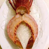澳洲龙虾135元一斤，澳洲龙虾选购技巧你肯定不