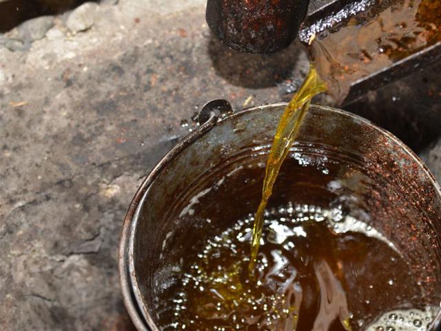 农村茶油100元一斤，看完村民榨茶油过程你还觉得贵？