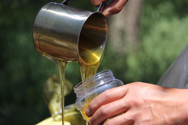 经常喝蜂蜜水，身体会发生5个意想不到的好收获！