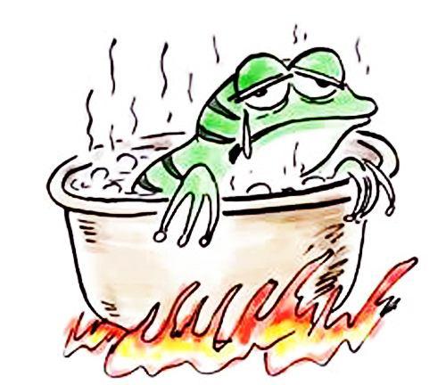 当65度时所有青蛙都跳出来了，“温水煮青蛙”原来是一场骗局