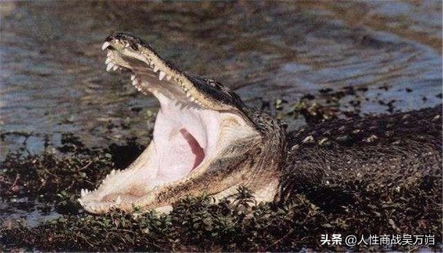 什么是强势文化？读懂叹为观止!