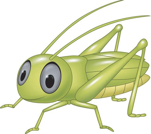 蟋蟀有哪些天敌？主要食物是什么？它能活多久？