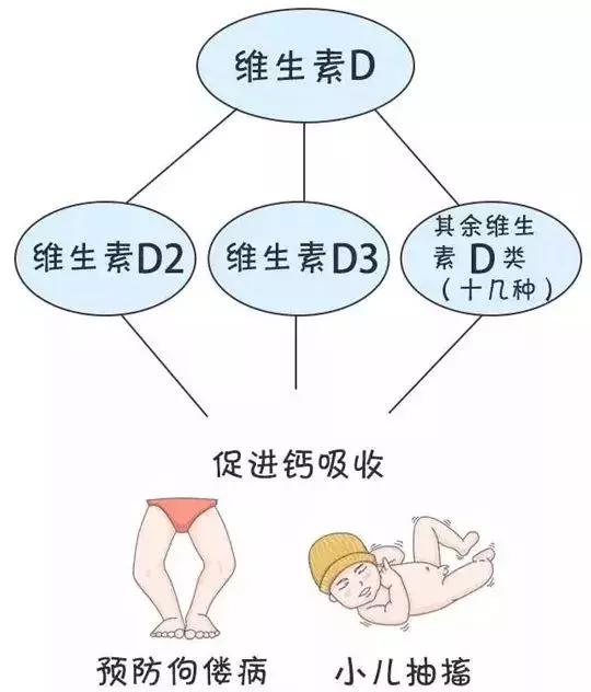 鱼油和鱼肝油的本质区别是什么？看完这篇你就不会再给宝宝乱吃了