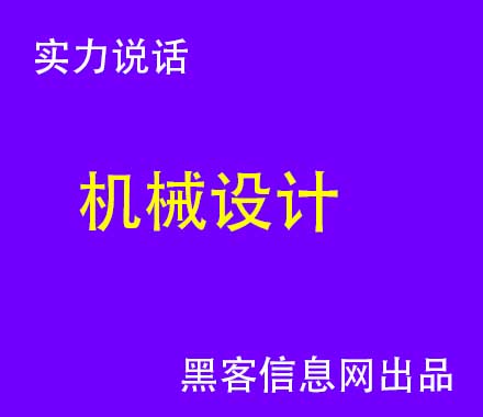 黑客这么找有漏洞的网站-黑客军团看不懂(我们是军团：黑客行为者的故事)