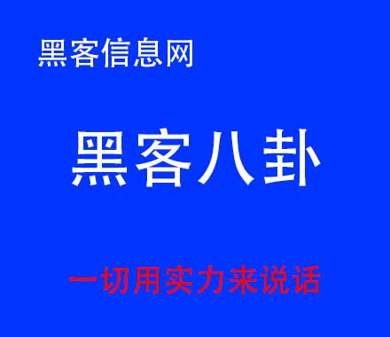 国内找黑客-新黑客一q一破一解一器(新黑客一q一破一解一器软件)