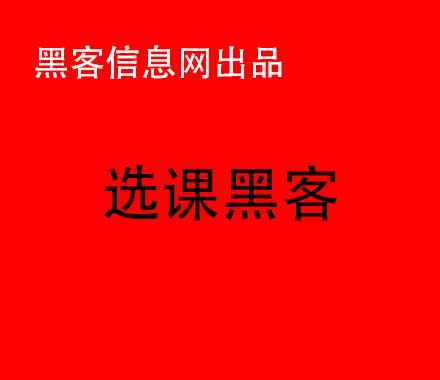 公安找抓黑客电脑欧美剧-我的名字叫黑客英文怎么说(我来自中国我的名字叫袁晓亮用英文怎么说)