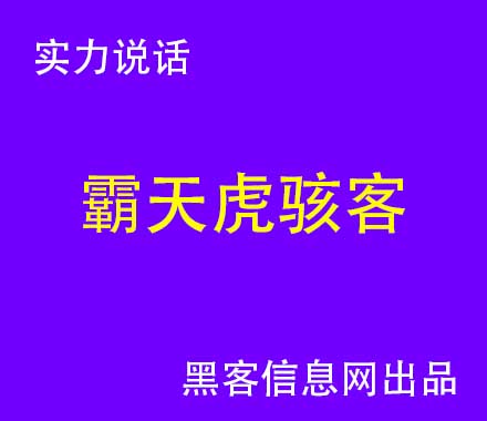 找黑客查地址要多少钱-黑客学长凝洛凡免费阅读