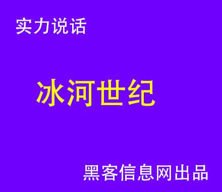 网贷找黑客消记录-造成伤害最大的黑客攻击(互联网史上最大的黑客攻击)