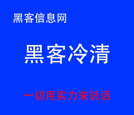 买黑客数据去哪个网站(黑客数据)-黑客找人定位