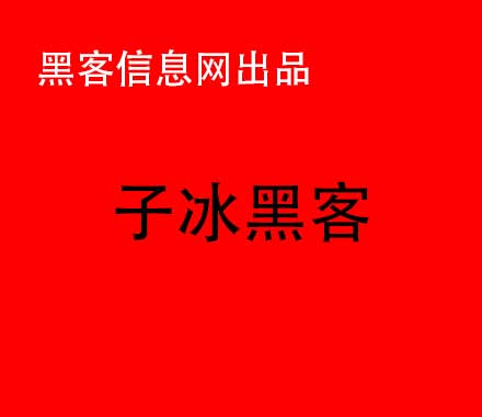 黑客能黑进公安网吗(怎么才能成为黑客)-黑客是干什么的