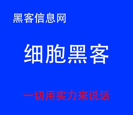 网贷找黑客篡改数据-如何知道黑客是否入侵手机(怎样知道黑客是否入侵)