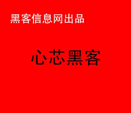 找漏洞黑客-有哪些黑客软件(手机上有哪些黑客软件)