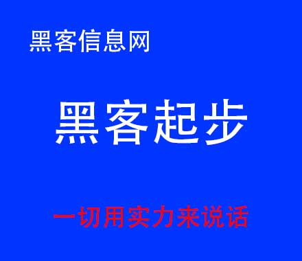 网络黑客公司去哪找-网警是否可以追踪到黑客