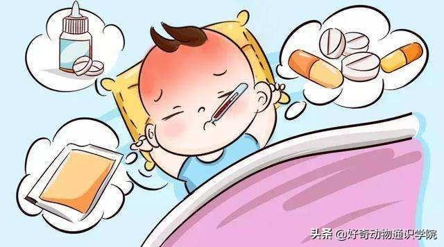 为什么有的动物冬眠，有的动物不冬眠呢？