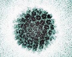 HPV病毒阳性是什么意思？了解宫颈癌的一级预防