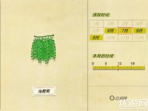 动物之森海洋生物有哪些 动物之森全海洋生物价格及出现时间一览